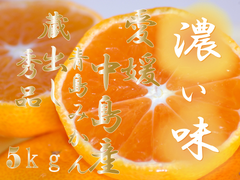 濃厚完熟　蔵出し　青島みかん　秀品・5ｋｇ
