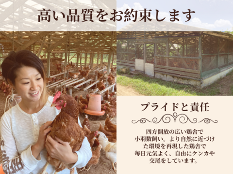 【定期購入専用】
☆＊【安納芋の甘みがギュッ‼️】＊☆
っと詰まった夢まる自然卵(10個入り3箱)