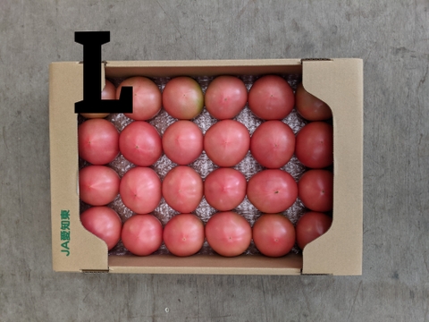 トマト4kg箱サイズL