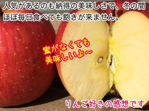 【加工用】サンふじ 約2kg 5-12玉 超定番のりんごの王様 11月中旬～発送開始予定 #NAF0K020