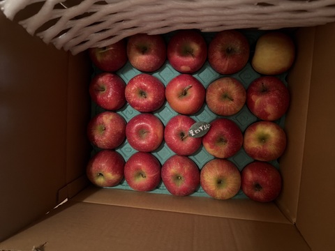 ★★大幅値下げ★★🍎約１０キロ🍎レビュー数1900件突破！！葉とらずふじ【家庭用】２６玉～４３玉 青森りんご リンゴ 商品ID197581 大容量　訳あり