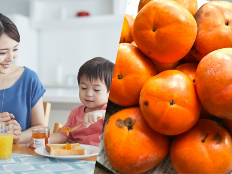 とろける甘さ！完熟柿《農薬不使用》(ご自宅用・3kg)