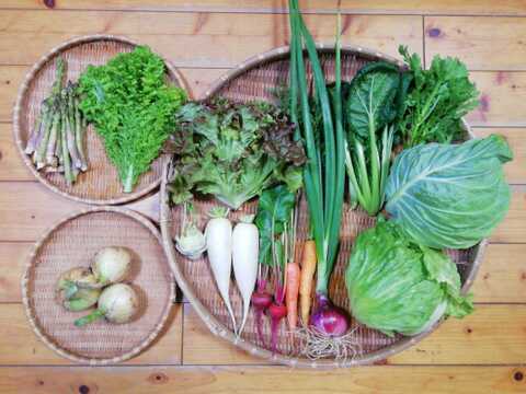 【農薬化学肥料不使用】おまかせ野菜セット【８種類以上の野菜】【金曜日発送】【熨斗(のし)対応可】【８０サイズ箱】