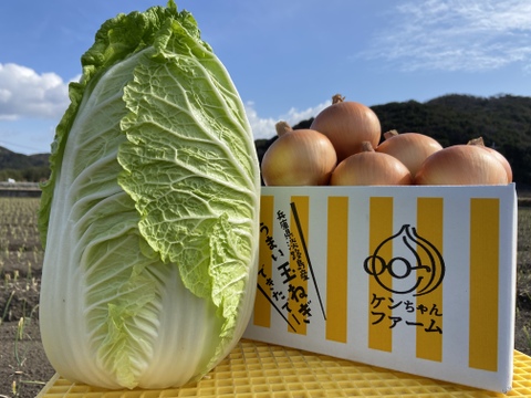 【今だけ！数量限定]白菜1個と特別栽培淡路島玉ねぎ5キロセット！