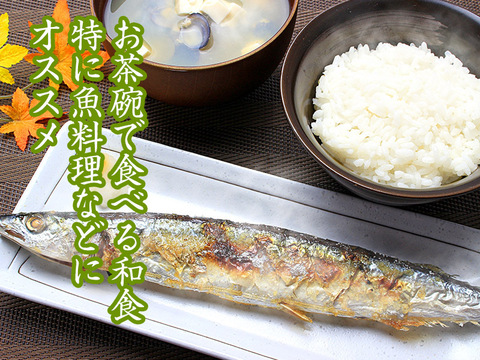 【プレミアム米】令和3年産新潟県認証特別栽培米コシヒカリ白米20kg（5㎏×4袋）