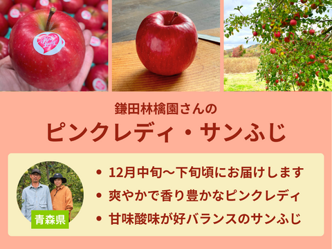 【売り切れ】 【限定300セット】8種のりんご食べ比べ便（食べチョク公式）