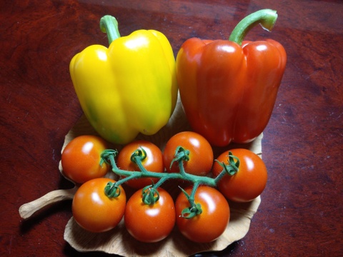 信州～夏野菜３点セットM　中玉トマト1.2kg・パプリカ2~3個・きゅうり1.6kg