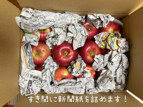 🍎「シナノスイート」見切り品10キロ☆加工にイチオシ！簡易包装でたっぷり楽しめます〜もったいないりんごを減らしたい〜※化学合成農薬約40％削減