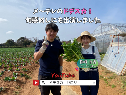 もうスーパーには戻れない！？本物のセロリ！