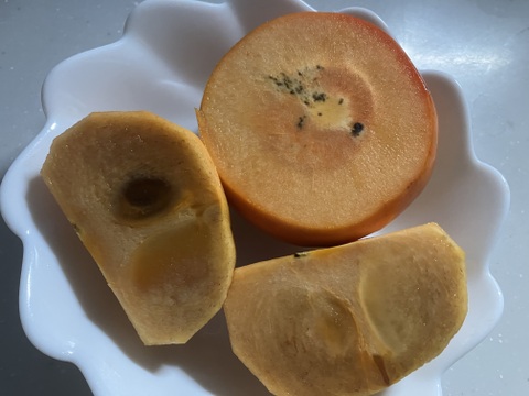 ☆昔ながらの柿(約１５玉前後)☆