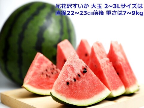 【予約】大玉すいか羅王食べ比べセット2~3Ｌ(金色＋ザスウィート) 各1玉【夏ギフト】