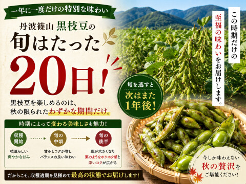 丹波篠山 黒枝豆 1.8kg( 600g × 3袋 ) 【令和7年新豆・予約販売】 産地