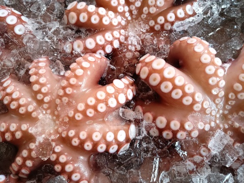 国産ぷりぷり〜『関門海峡たこ』小サイズ足1本ずつカット1kg(バラ冷凍)刺身、カルパッチョ、たこ飯、たこ唐など…今日の夕飯に直ぐ使えますよ