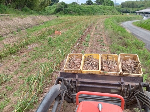 甘くて美味しい黒にんにく120ｇ×4パック