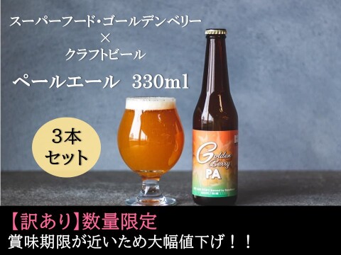 【訳ありでお得！1,000円引き！！】トロピカルな香りと旨味！！スーパーフード「ゴールデンベリーペールエール（クラフトビール）」330ml×3本入り