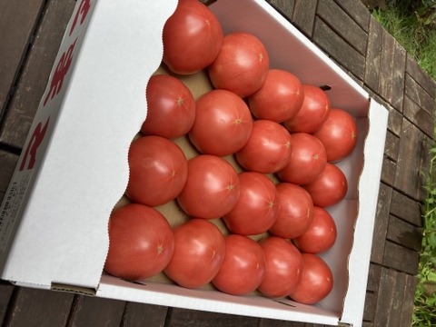 トマト嫌いも食べやすい？！島原産大玉トマト(4キロ)