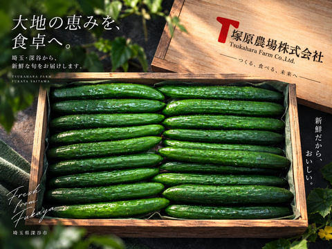 埼玉県深谷市産 プレミアムきゅうり 2kg