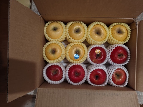 お任せミックス！岩手江刺産★家庭用３㎏