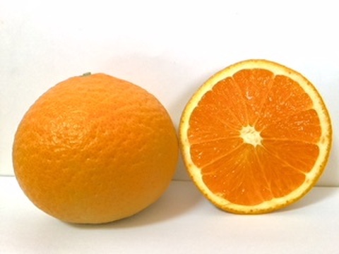 ジューシー清見オレンジ4.5㎏