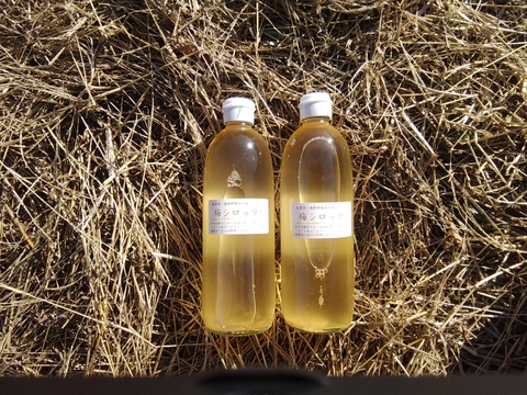 南信州産　農薬肥料不使用の竜峡小梅でつくった梅シロップ　500ml×2本