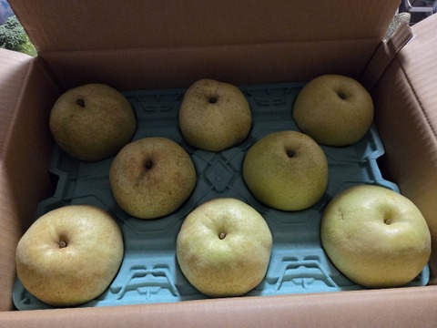 幻の梨🍃　千葉県産【かおり】5㎏　家庭用『6～10玉入』市川のなし