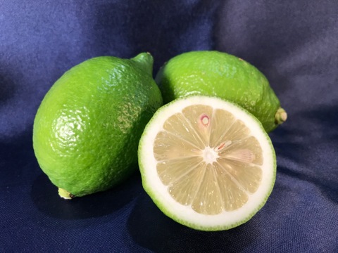 【果皮も安心】やさしい黒潮檸檬 2.7kg　節減対象農薬：当地比約75％減