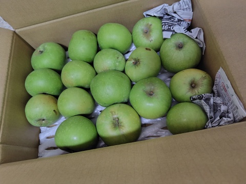 お得なミニサイズ！ブラムリー小玉3kg