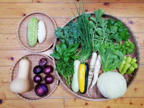 【農薬化学肥料不使用】バターナッツカボチャ入り野菜セット【８種類以上の野菜】【金曜日発送】【あわせ買い可】【熨斗(のし)対応可】【８０サイズ箱】