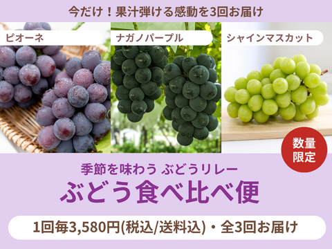 【売り切れ】【限定200セット】ぶどう食べ比べ便（食べチョク公式）
