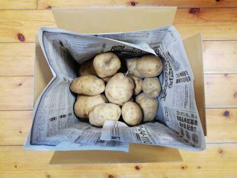 ジャガイモ(デジマ)2.5～３㎏程度【農薬化学肥料不使用】【合わせ買い可】【熨斗(のし)対応可】