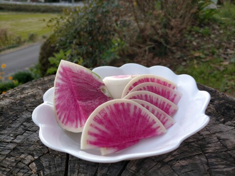 【石巻産】紅芯大根　３㎏