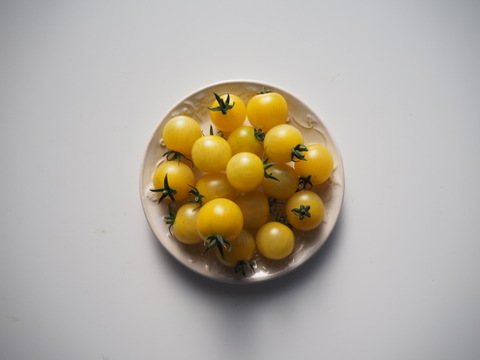 レモン色ミニトマト 500g【清涼感のある爽やかな甘さ】熊本県産：ギフトメッセージ対応