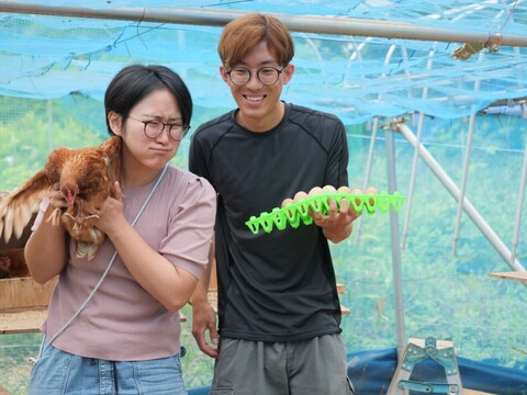 トウモロコシ不使用・こだわりの発酵飼料を食べた『あずさ』の平飼い卵10個入りパック×3個（30個）