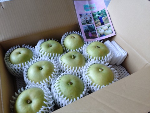 鳥取の！  二十世紀梨（5㎏）