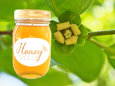 採れたて、新蜜！　完熟、非加熱のこだわり生はちみつ　希少な柿　500g クセがなくフルーティな甘さ