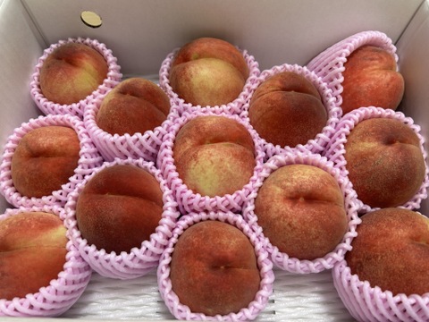 希少な桃　美桃紅　約3kg 8～16玉　8月下旬【ASIAGAP認証農場：津軽農園】　安心・安全な桃　収穫した日に発送　家庭用　農家直送【朝どれ】