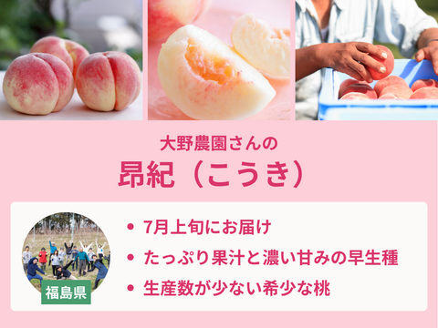 【限定300セット】桃食べ比べ便第２弾※送料込※（食べチョク公式）