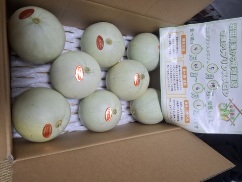 テレ東昼めし旅で紹介されました！香り豊かプリンスメロン