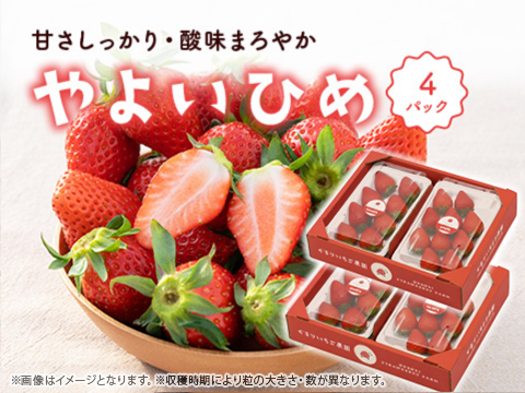 4パック｜とっても甘〜い大粒いちご！ぐんまが誇るやよいひめ！ 合計1kg！