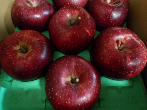 【シナノホッペ3ｋｇ　限定３０箱】サンふじの血を引く信州オリジナル新品種。③潤沢な蜜入りに期待！
シナノほっぺ