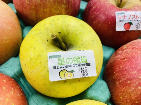 旬のりんご4品種食べ比べセット3ｋｇ（早生ふじ、星の金貨、千雪、シナノスイート）