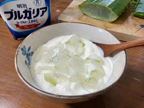 奄美大島産 希少な食用アロエベラ｜肉厚でみずみずしい生葉 1.5kg