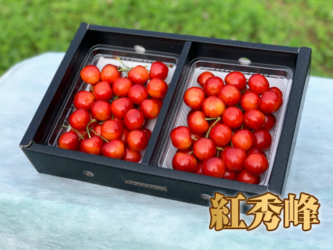 【先行予約割引】【農林水産大臣賞受賞園地】 さくらんぼ 紅秀峰 秀品 2Lサイズ以上 600g オリジナルギフト箱 B-02-02