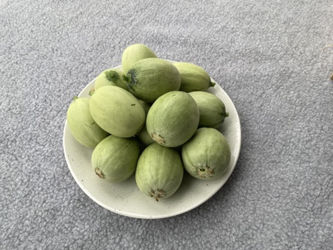 【お漬物に】【数量限定】子メロン（摘果メロン）　４㎏