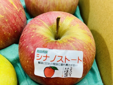 旬のりんご4品種食べ比べセット3ｋｇ（早生ふじ、星の金貨、千雪、シナノスイート）