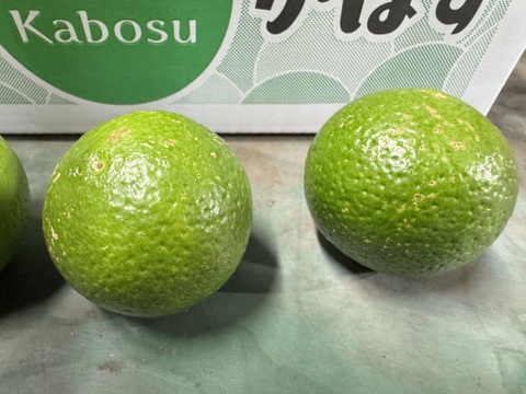 期間限定‼️】大分県産 小玉種無しかぼす 箱込み2キロ：大分県産の