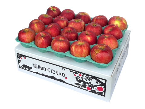 残り3ケース🍎お菓子作り用🥧✨訳あり品 紅玉 5キロ箱 商品ID96210  長野県 信州 安曇野 リンゴ 幻 幻のリンゴ 予約 希少 旬