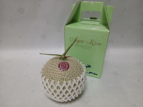 即出荷『冬のアールスメロン』1個入り