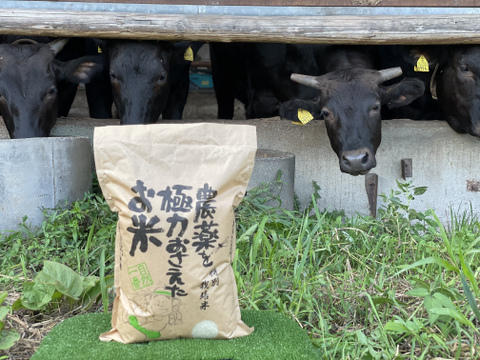 【リオレのレシピ付き】特別栽培米🌾栃木県産令和3年度コシヒカリ🐃（各2キロセット）