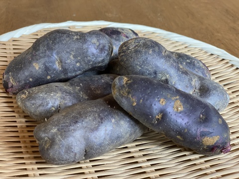 家計応援セール 旨味が濃い 鮮やかな紫色のシャドークイーン ２kg 栃木県産のじゃがいも 食べチョク 産地直送 産直 お取り寄せ通販 農家 漁師から旬の食材を直送